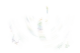 logo branco